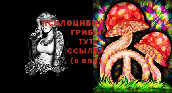 стафф Абинск