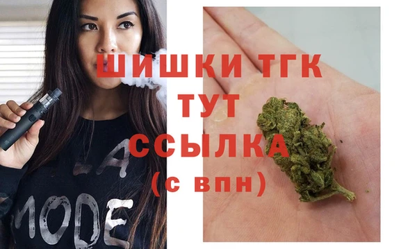 прущий лед Абаза
